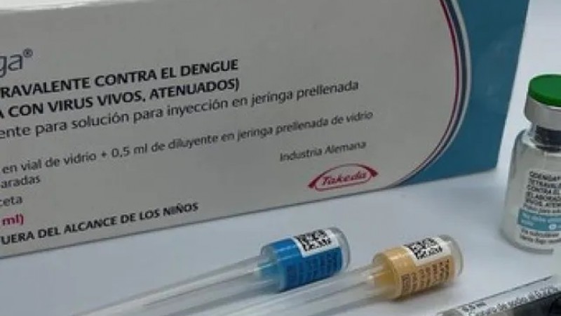 Vacuna contra el dengue: todo lo que hay que saber y tener en cuenta