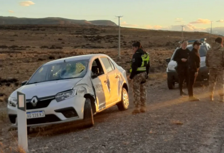 Embisti un guanaco camino al aeropuerto de El Calafate