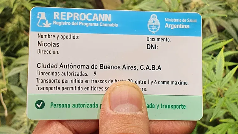 Encontraron irregularidades en el REPROCANN