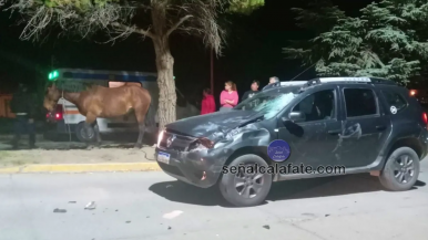 El Calafate: chocaron con un caballo y hay dos menores lesionados