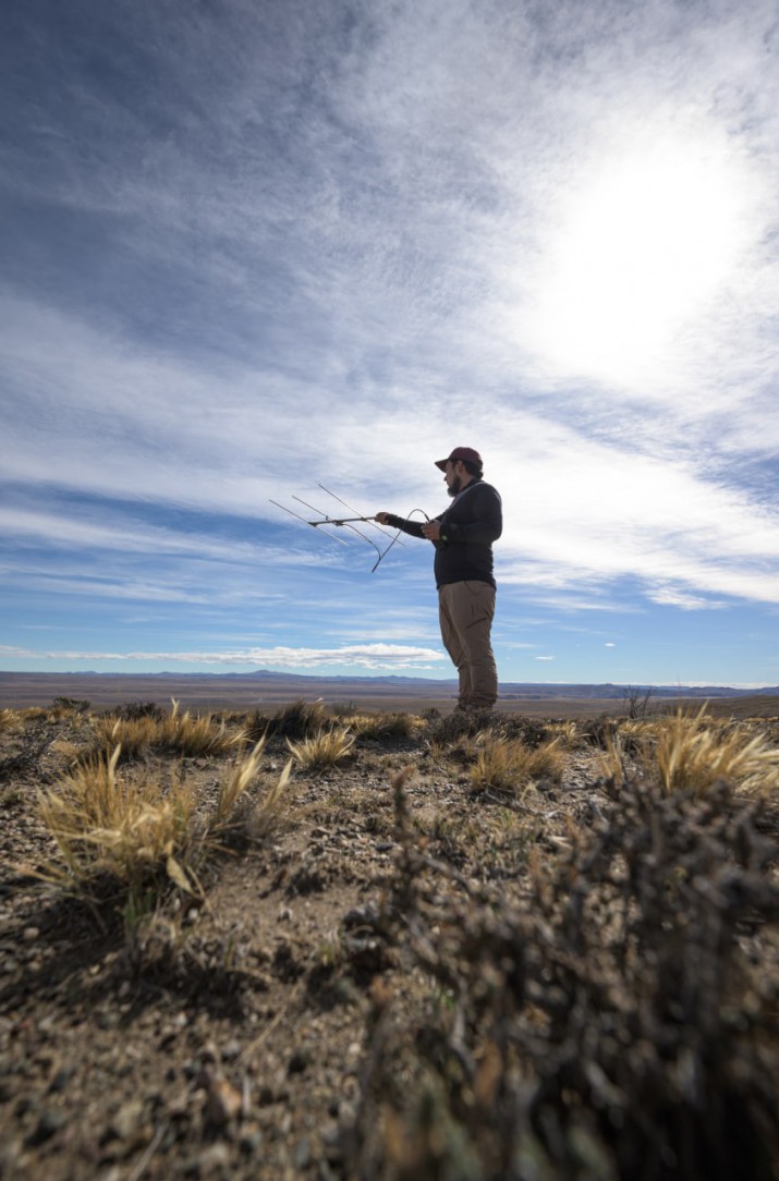 Invierno en el Parque Patagonia: un escenario nico para el avistaje de fauna