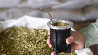 El consumo de yerba mate cayó un 8,8% en lo que va del año 