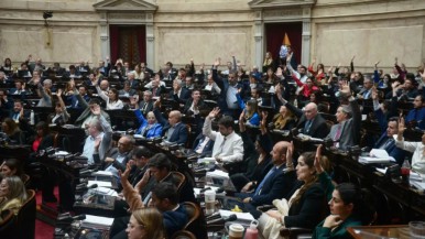 Ley de Bases: qué diputados de Santa Cruz dieron el voto para que YCRT sea "sujeta a privatización" 