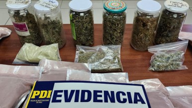 Incautan dosis de droga DMT conocida como "la molécula de Dios"