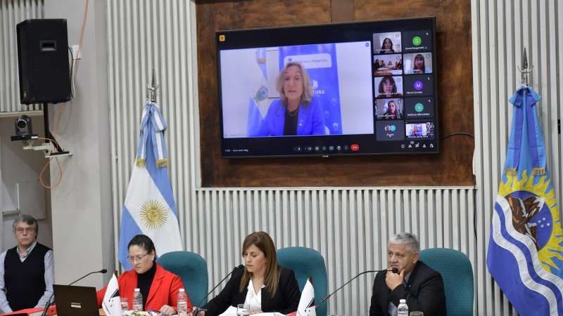 La legisladora Rasgido presidi el parlamento patagonico.