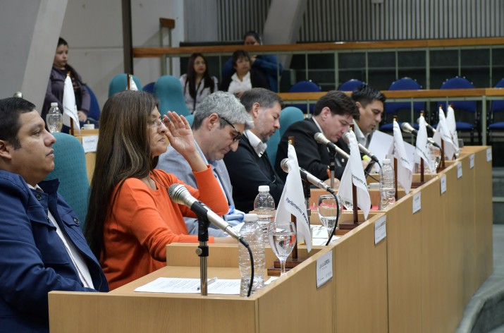 Sesion el Parlamento Patagnico