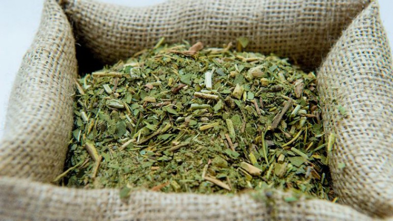 Boom de importaciones de yerba desde Paraguay y Brasil: preocupacin en productores argentinos