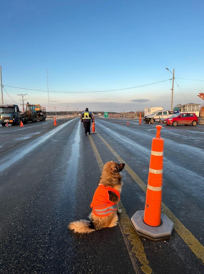 La foto de un "pequeo agente" santacruceo que se hizo viral 