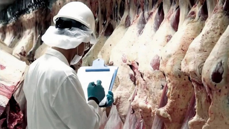 Exportaciones de carne: abren el plazo para acceder a la Cuota Hilton