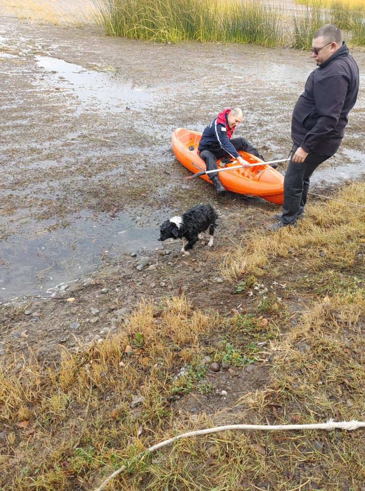 Santa Cruz: un perro cay en aguas heladas, pero pudo ser rescatado 