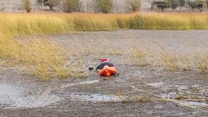 Por suerte, el perro fue rescatado de la laguna.