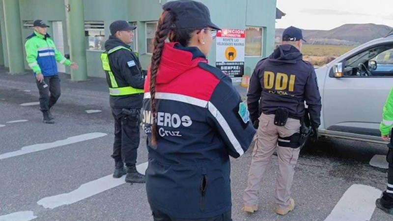 En un control vehicular rutinario realizado en la Ruta Provincial N 17 deriv en el secuestro de un arma de fuego y carne ilegal de guanaco. (Foto archivo)