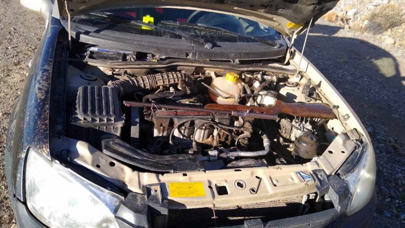 Santa Cruz: cazaron tres guanacos sin permiso y tenan una carabina automtica calibre 22 escondida en el sector del motor 