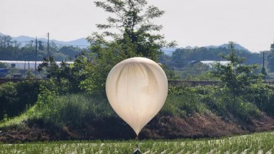 Insólito: en la península de Corea intercambian excrementos voladores