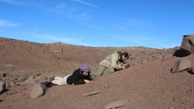 Hallaron en Santa Cruz los restos fósiles de un lagarto de hace 70 millones de años 