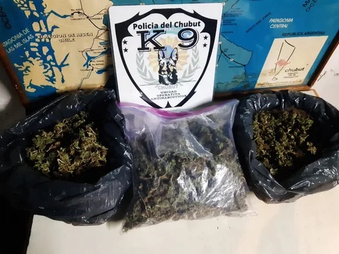 Lo descubrieron entrando Chubut con tres bolsas de 700 dosis de marihuana en el auto