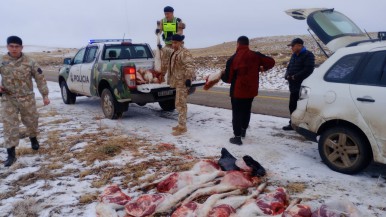 El Calafate: operaciones rurales incauta carne de guanaco 