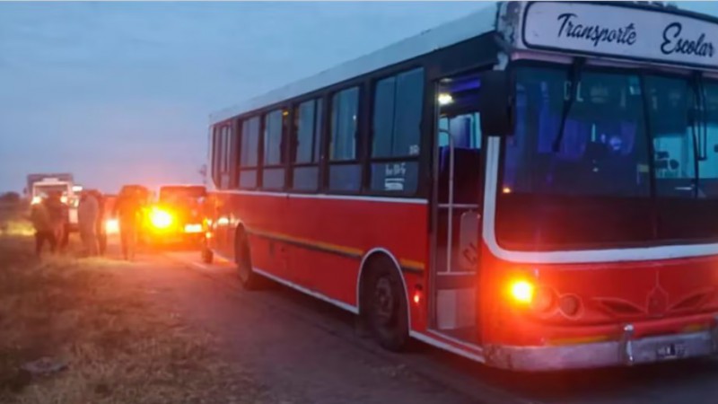 Video: una camioneta atropell a 10 estudiantes al costado de una ruta y mat a una chica de 17 aos 