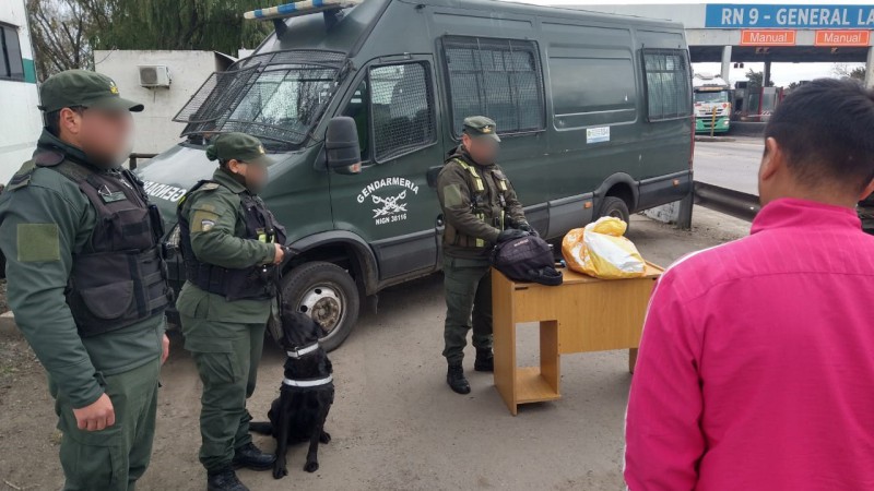 Gendarmera Nacional incaut mas de 10 kilos de cocana transportados en un micro