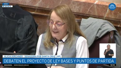 Ley Bases: Alicia Kirchner pidió que "no cuenten conmigo para entregar soberanía"  y dijo que "la patria no se regala"