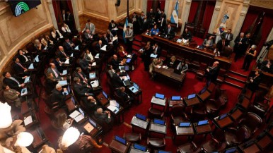 Sigue el debate en el Senado 