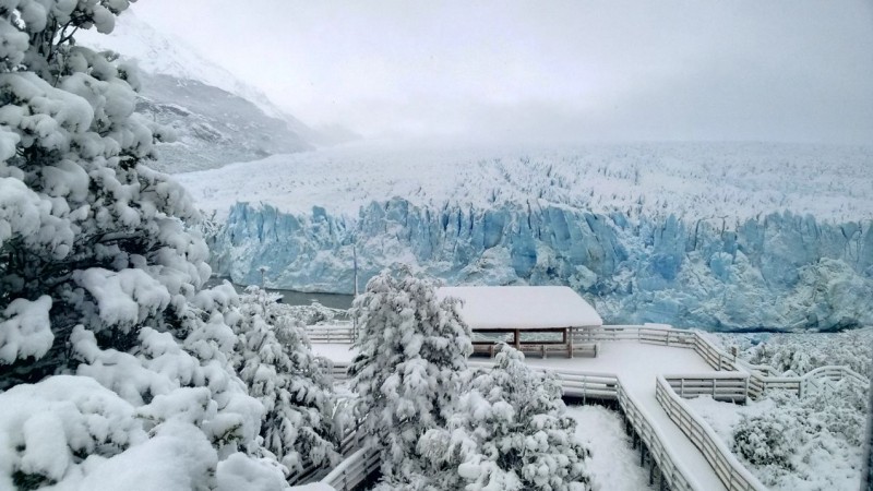 El glaciar Perito Moreno con nieve. Foto ilustrativa, tomada en 2017 por Parques Nacionales. 