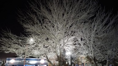 Suspenden las clases en Calafate y Piedra Buena por  las fuertes nevadas