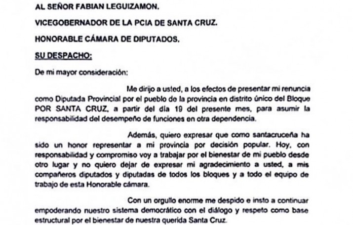 Rasgido renunci a su banca como diputada y se espera su asuncin como presidenta del CPE 