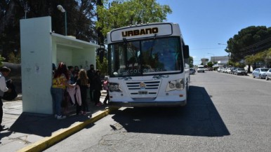 Otra suba: una ciudad patagónica habilitó el aumento del boleto de colectivo y superará los mil pesos  