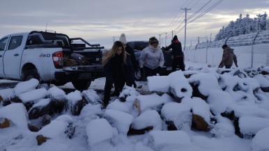 Operativo invernal: El gobierno de Santa Cruz comunica que se encuentra asistiendo a familias en Río Gallegos