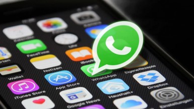 Otra imagen para WhatsApp: qué es y cómo activar el modo "Blueberry" en la aplicación