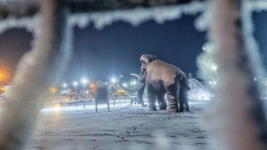 Dos alertas por frío extremo para toda Santa Cruz: las nevadas y lluvias pronosticadas para Río Gallegos