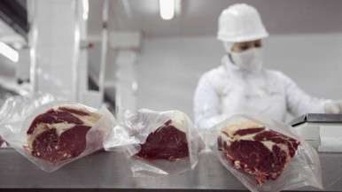 Cuota Hilton: distribuyen más de 28.000 toneladas de carne de alta calidad para exportar a la Unión Europea