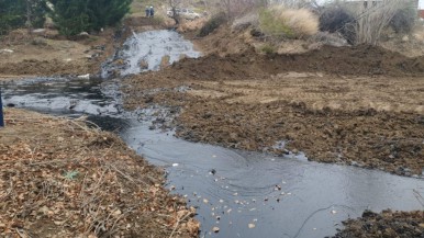 Grave derrame de petróleo de YPF en un barrio de Comodoro Rivadavia: un funcionario municipal recomendó que los vecinos "mantengan a los niños y mascotas en el domicilio" 