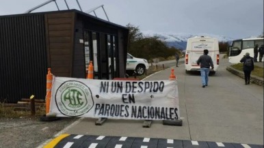 Desde nación señalaron que seguirán los despidos 