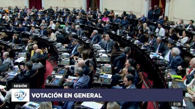 Aprobación de la Ley de Bases con apoyo de Santa Cruz: YCRT sujeta a privatización,  tuvo luz verde el polémico RIGI y las facultades delegadas a Milei