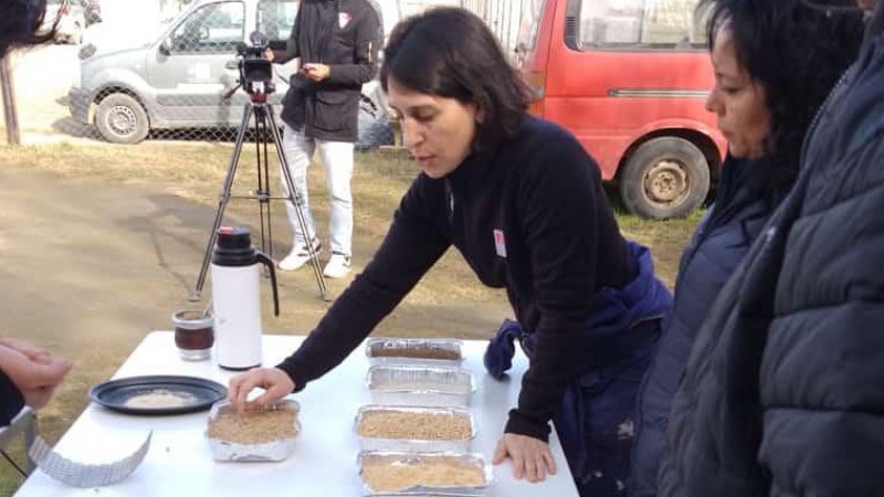 Integrantes del INTA en Santa Cruz investigan alimentacin para gallinas ponedoras a partir de desechos de la fabricacin de cerveza artesanal 