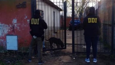 Una beba quedó hemipléjica por los golpes que le propinó su tía: quedó detenida