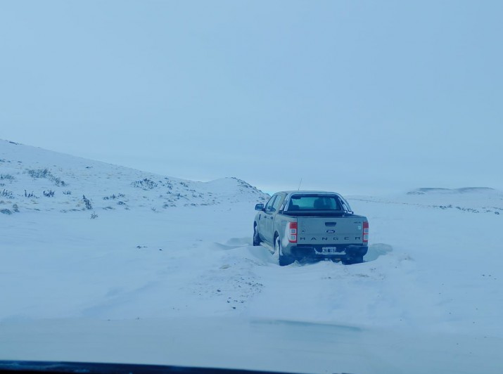 Trgico hallazgo en la ruta provincial 9: encuentran sin vida a un hombre de 80 aos