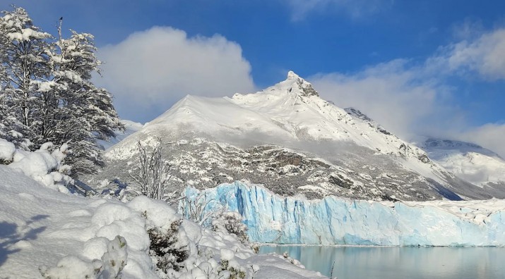 As luca el glaciar Perito Moreno. Foto: Ro Negro.&nbsp;