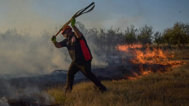 Córdoba: el fuego afectó más de 6.000 hectáreas 