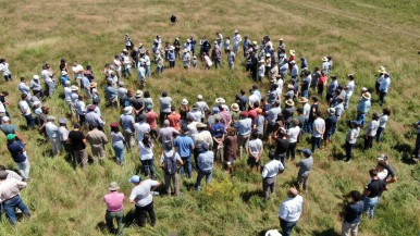 Llega Regenera Latam, una cumbre que reunirá a productores agropecuarios y empresas por la regeneración