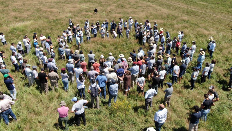 Hay mucha expectativa por la cumbre que se realizar en Buenos Aires