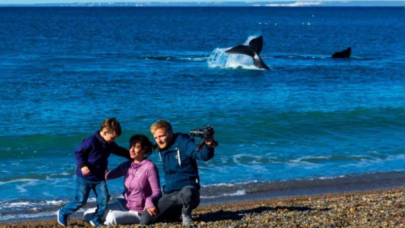 Dnde est la playa patagnica en la que se puede avistar ballenas gratis desde la costa