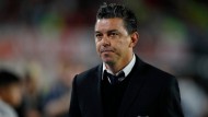 Marcelo Gallardo está a un paso de volver a ser el DT de River