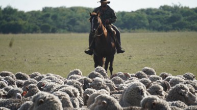 Hubo incremento salarial para trabajadores rurales 