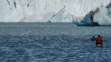 El Parque Nacional Los Glaciares será sede de una competencia de natación extrema 