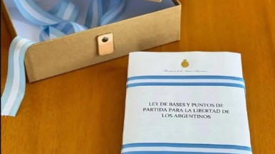 Ley de Bases: el gobierno nacional publicó la primera reglamentación 