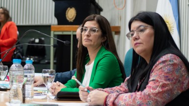 Santa Cruz: los diputados repudiaron violencia de género contra la ex primera dama Fabiola Yáñez