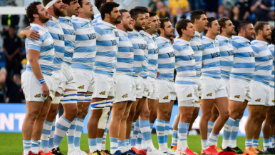 Rugby Championship: el camino de los Pumas comienza contra  All Blacks 